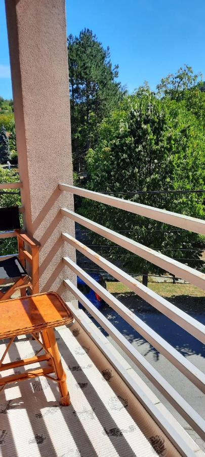 Apartman Lux Sneznik Vrnjačka Banja Buitenkant foto